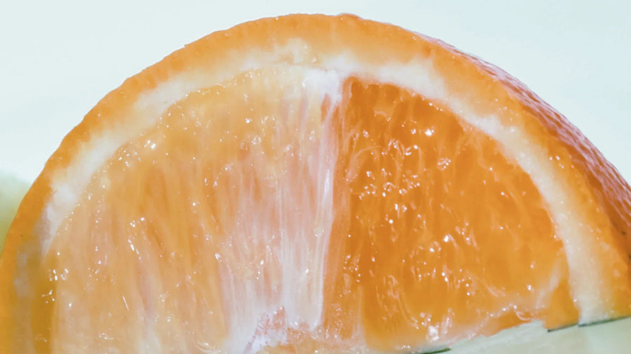 Orange Grove