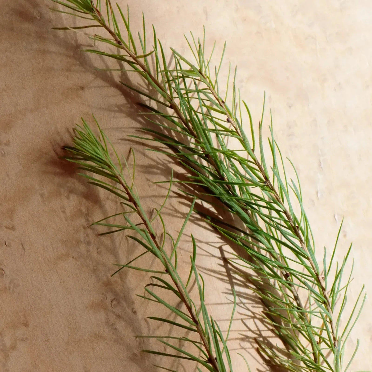 Naturlige ingredienser
